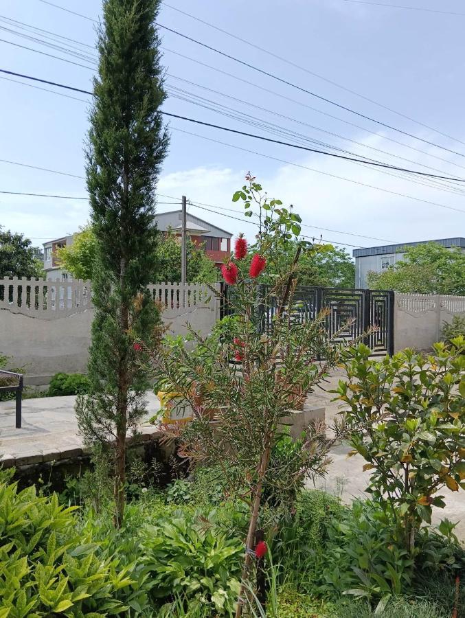 Natia Guest House Kobuleti Bagian luar foto