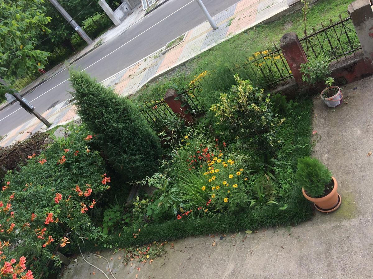 Natia Guest House Kobuleti Bagian luar foto